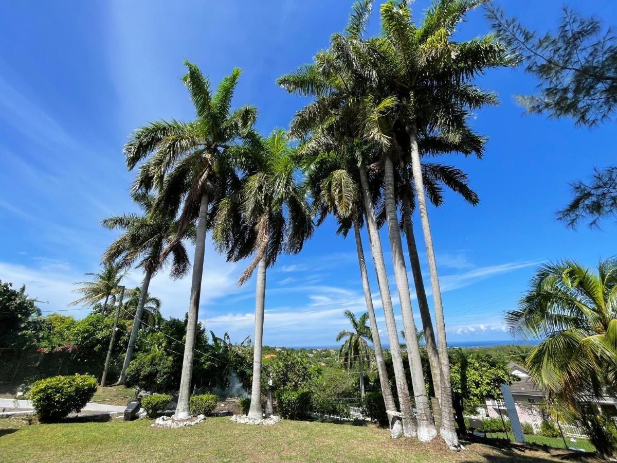 The Lodge @ Peaceful Palms Montego Bay Ngoại thất bức ảnh