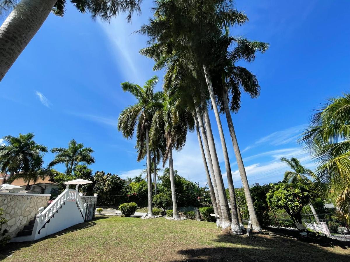 The Lodge @ Peaceful Palms Montego Bay Ngoại thất bức ảnh