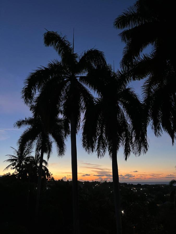 The Lodge @ Peaceful Palms Montego Bay Ngoại thất bức ảnh