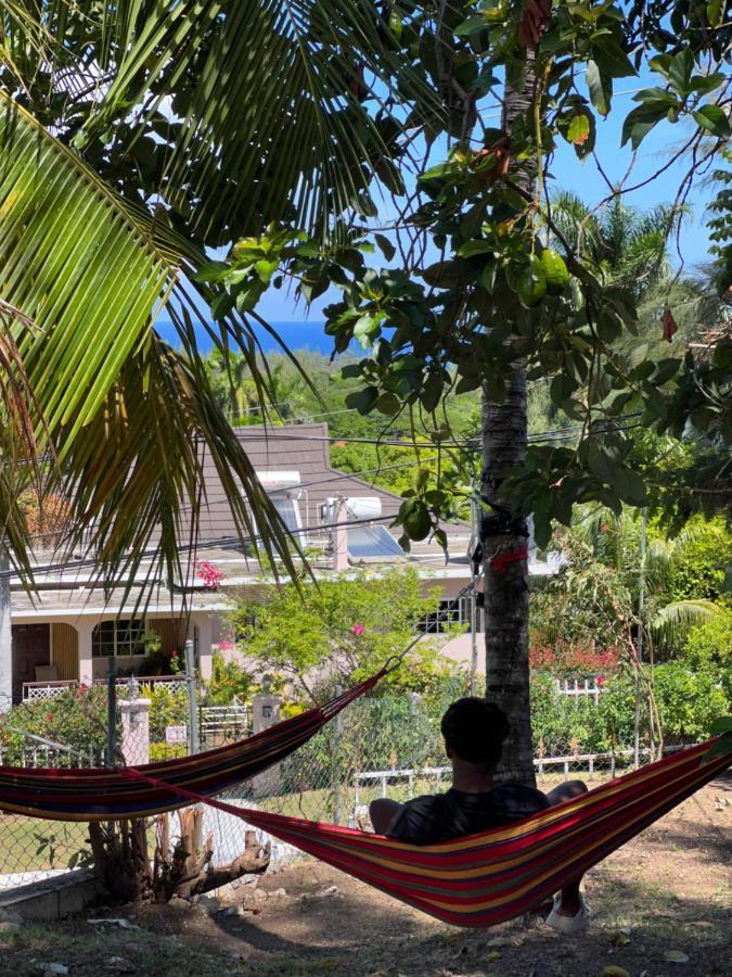 The Lodge @ Peaceful Palms Montego Bay Ngoại thất bức ảnh