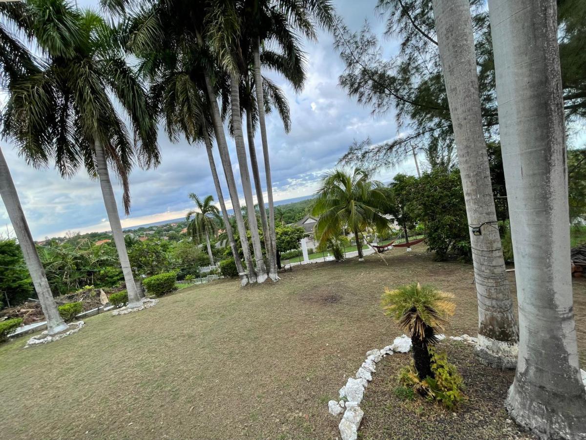 The Lodge @ Peaceful Palms Montego Bay Ngoại thất bức ảnh