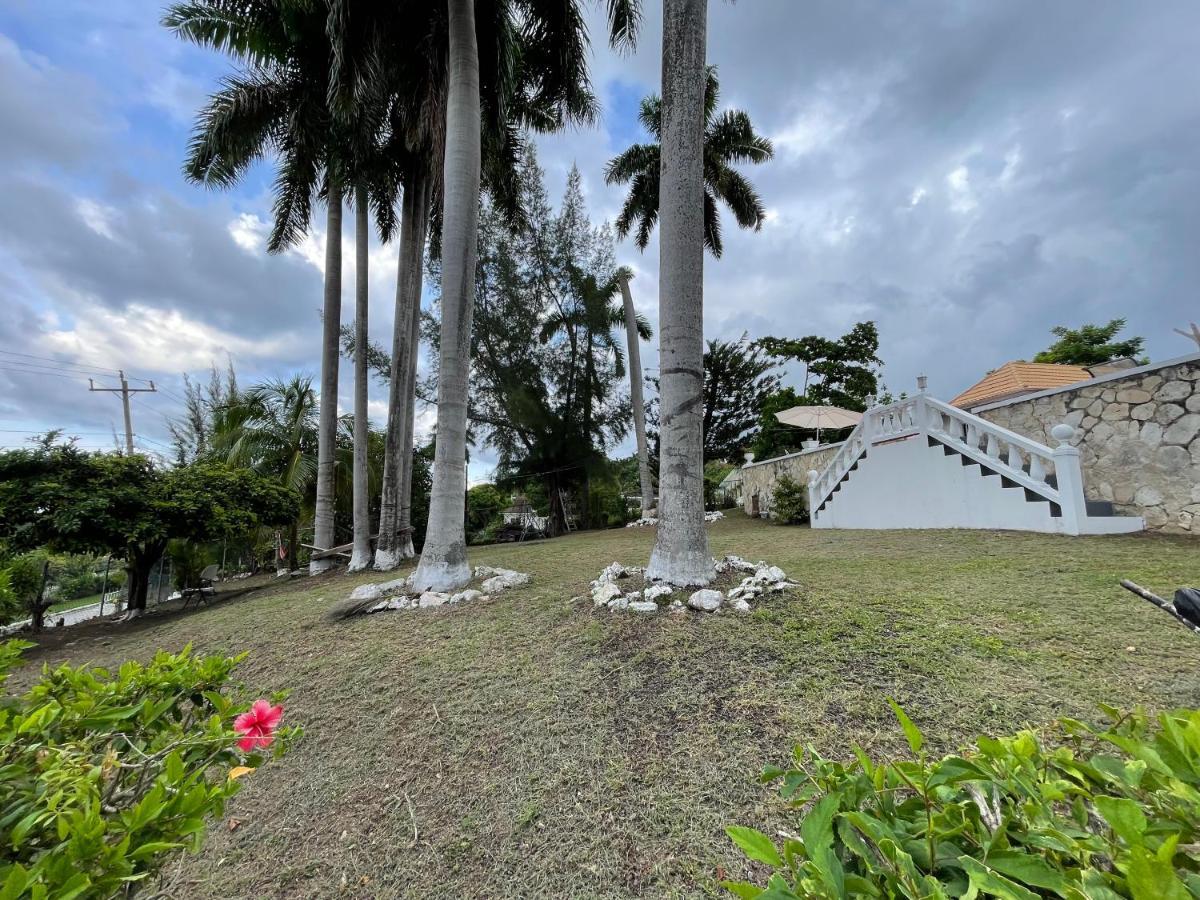The Lodge @ Peaceful Palms Montego Bay Ngoại thất bức ảnh